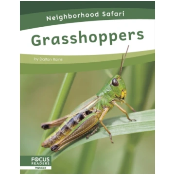 Grasshoppers Dalton Rains