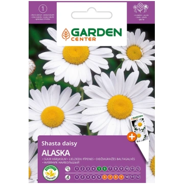 Sēklas Garden Center pīpenes Alaska, 0.2 g