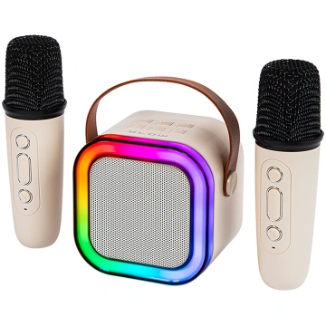 Bluetooth speaker KARAOKE RGB 10W ( 30 358# ) pārn