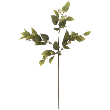 Mākslīgā puķe Bloomingville Eikalipts zaļa 76 cm