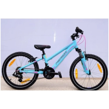 Merida matts J20