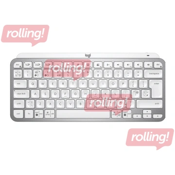 Bezvadu klaviatūra Logitech MX Keys Mini Grey