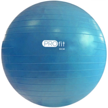 Vingrošanas bumba Peļņa 55 cm ar sūkni DK 2102 Pro