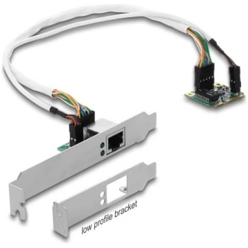 Delock Mini PCIe I/O PCIe half size 1 x RJ45 Gigab