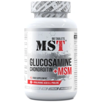 Glucosamine Chondroitin MSM and Hyaluronic Acid MS