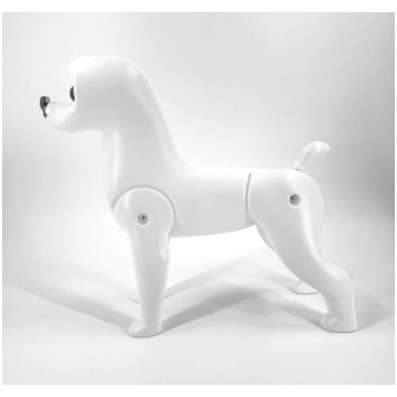 Mr. Jiang Bichon Model Dog Body Mannequin - Bišona