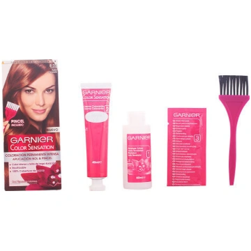 Garnier Noturīga Krāsa Color Sensation Garnier