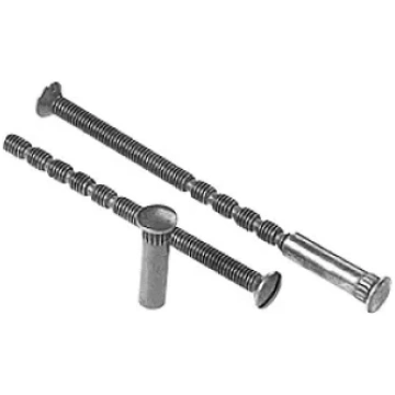 Skrūve rokturim 110mm niķelis ZN2