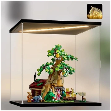 Acrylic Display Case with LED Display Case Action 