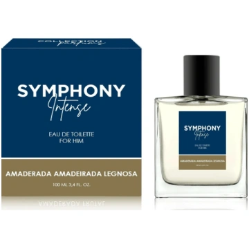 Alkotest MELODY Symphony Intense Men EDT spray 100