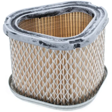 Gaisa filtrs Kohler CV11-15Large