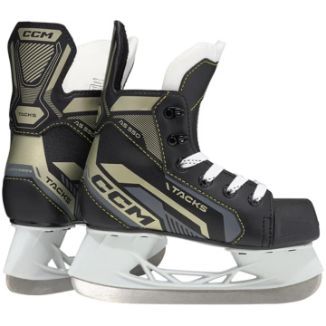 ccm as-550