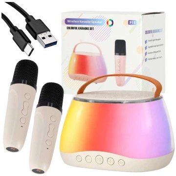 RoGer Portable Bluetooth Karaoke Speaker Set 59030
