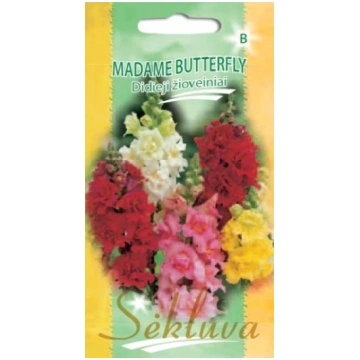 Sēklas Lauvmutītes MADAM BUTTERFLY 30 sēklas S.N.9