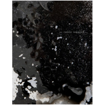 RE: Carrie Yamaoka Radius Books