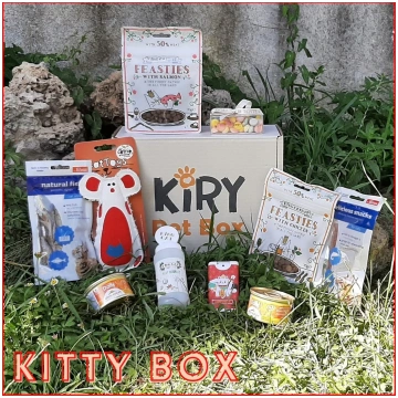 KITTY BOX JULI Kiry Pet