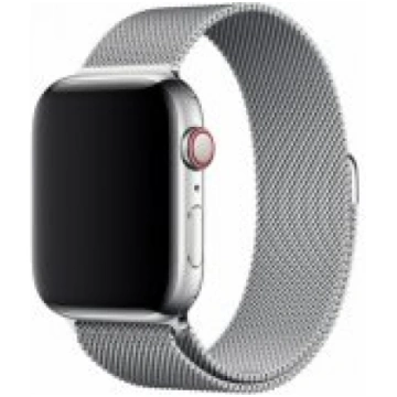 Devia 38/ 40mm Silver Elegant Milanese Loop Siksni