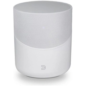 BLUESOUND PULSE M