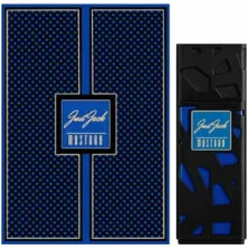 Just Jack Mystery Eau De Parfum 100 ml (man)