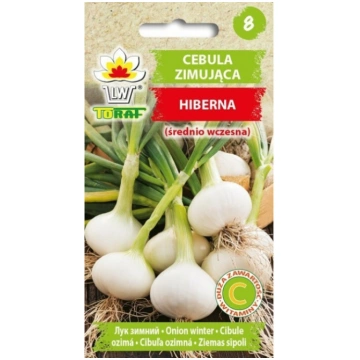 Sēklas Sīpoli ziemas Hiberna 2g 5907595507035