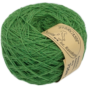 Dzija Evercash - 133388, 100g / 750m