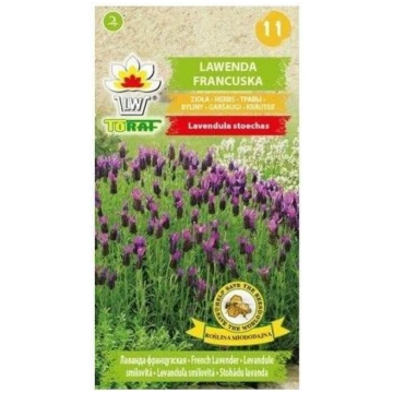 Sēklas Lavanda Franču 0.1g 5907595508414
