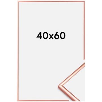 Ramis Scandi Rose Gold 40x60 cm BGA