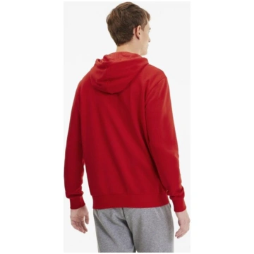 Puma Džemperi TeamGoal 23 Casuals Hooded Red 65670