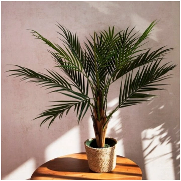 Mākslīgais augs | TROPICAL ZONE | palma | 120 cm |