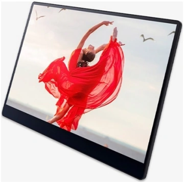Ricoh 150BW Mobile OLED-Monitor with Touchscreen 5
