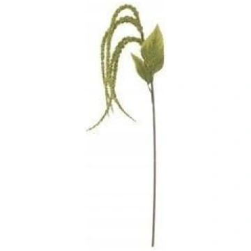 Bloomingville Foxtail Lodyga Zielony Sztuczne Kwia