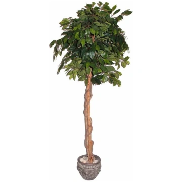 Mākslīgais augs Ficus PRAETEXTUS 150cm
