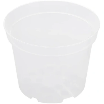 DOMOLETTI Puķu pods Orchidea SBX4, plastmasa, caur