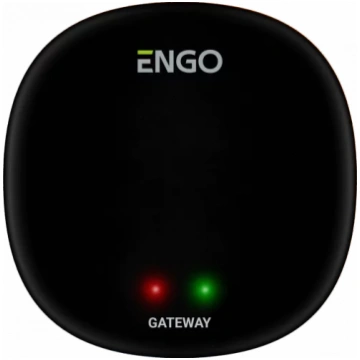 Engo interneta vārtejas, EGATEZB