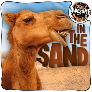 In the Sand Brenda McHale; Dan Scase