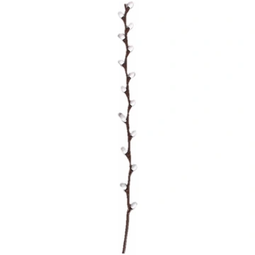 Zieds dekoratīvais-Pūpolu zars 38cm