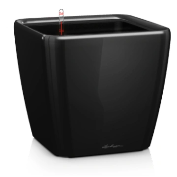 LECHUZA Quadro Premium 21 Black, 16129