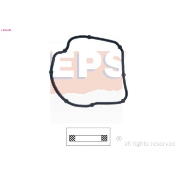 EPS 1-890-645 - Blīve, Termostats