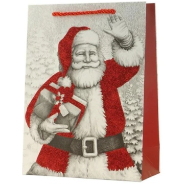 GIFT BAG CHRISTMAS TY-30S 26X32X10CM TY-30S (59061