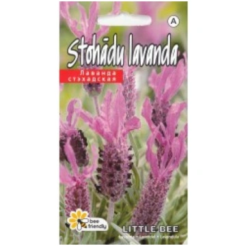 STOHĀDU LAVANDA PEDUNCULATA KURZEMES