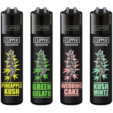 Clipper® Lighter Plantz - ROSA
