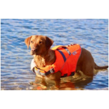 Caniwild glābšanas jaka L [Life Jacket] 15203