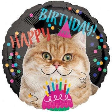 Aplis , Happy Birthday, Cat, (43cm) GoDan BP-56218