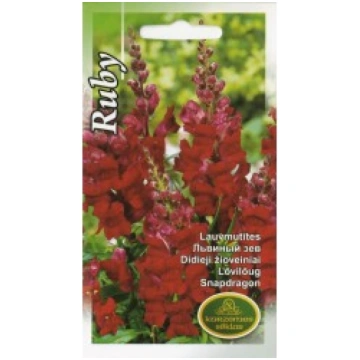 LAUVMUTĪTES RUBY KURZEMES