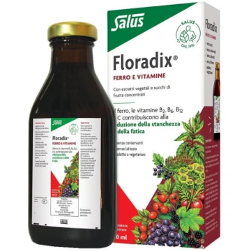 Floradix 500ml SALUS HAUS Gmbh & Co KG