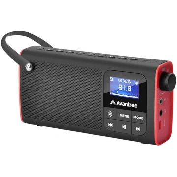 Avantree 3 in 1 Portable Tragbares FM Radio, Klein