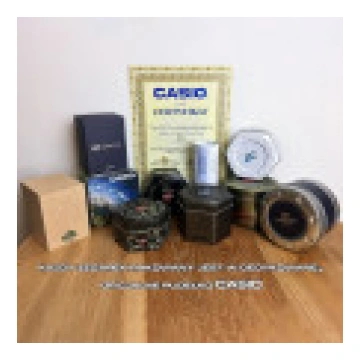Casio Watch Men"s Blue [Zegarek W-800H-2AVES niebi