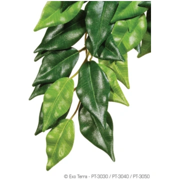 Exo Terra Silk Plant Ficus Medium PT3040