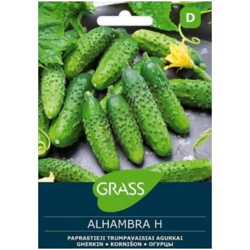 Parastā īsaugļu gurķu sēklas ALHAMBRA H, 1 g