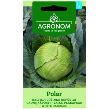 Sēklas Baltie galviņkāposti Polar 2g (A) 477016811
